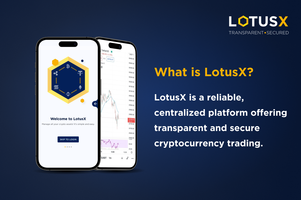 What is LotusX?