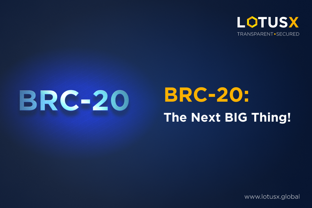 BRC-20 Tokens