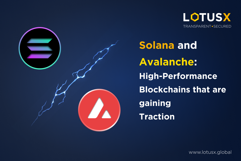 Solana and Avalanche: High performance blockchains gaining traction. Why are SOL and AVAX rising in price? LotusX