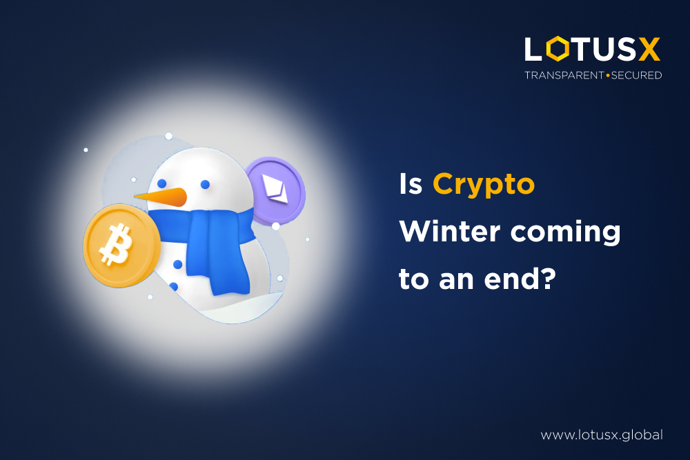 Crypto winter coming to an end- LotusX