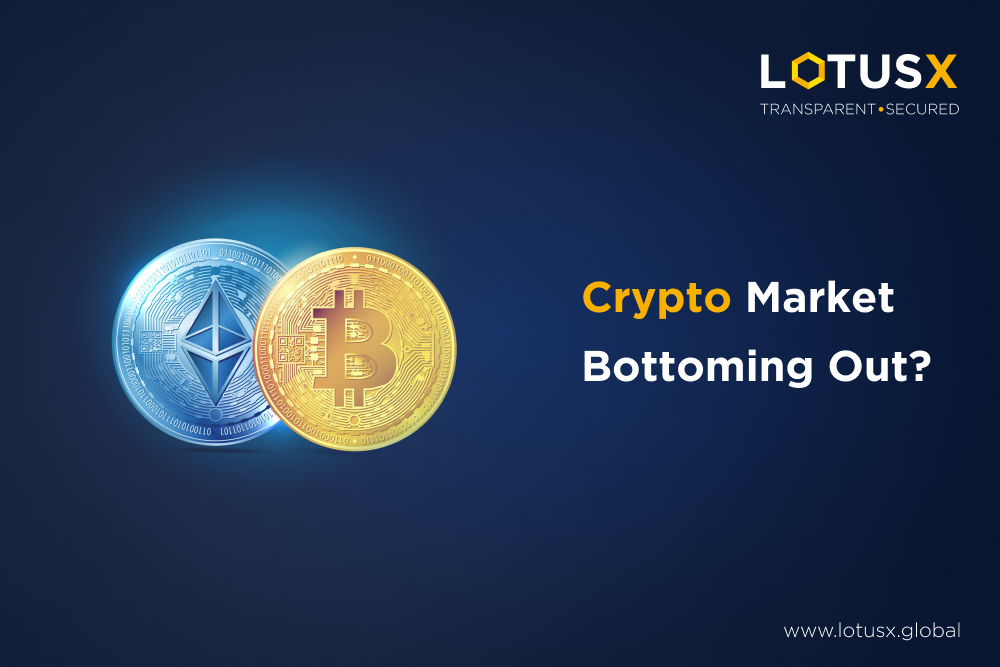 Is the Cryptomarket bottoming out? Is it time to invest in cryptos like ETH, BTC, BNB, MATIC, etc? LotusX Thematic Investment Plan.