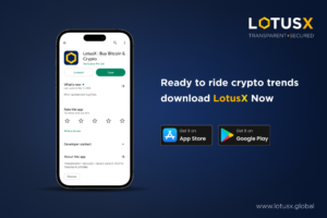 LotusX. Prevent from crypto scams. 2024.