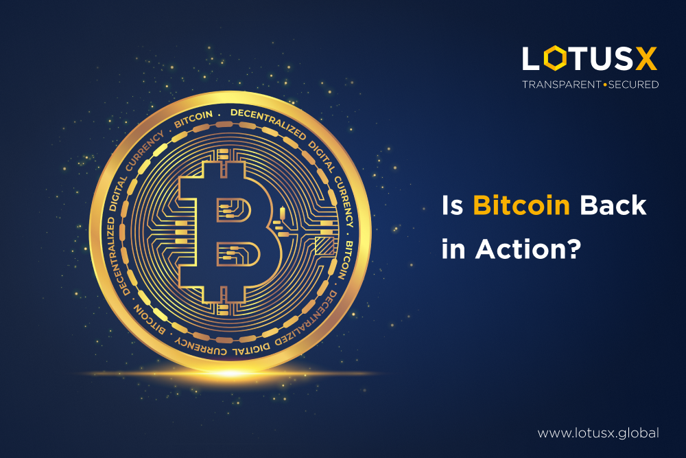 Bitcoin ETF Approval, BTC back in action. LotusX