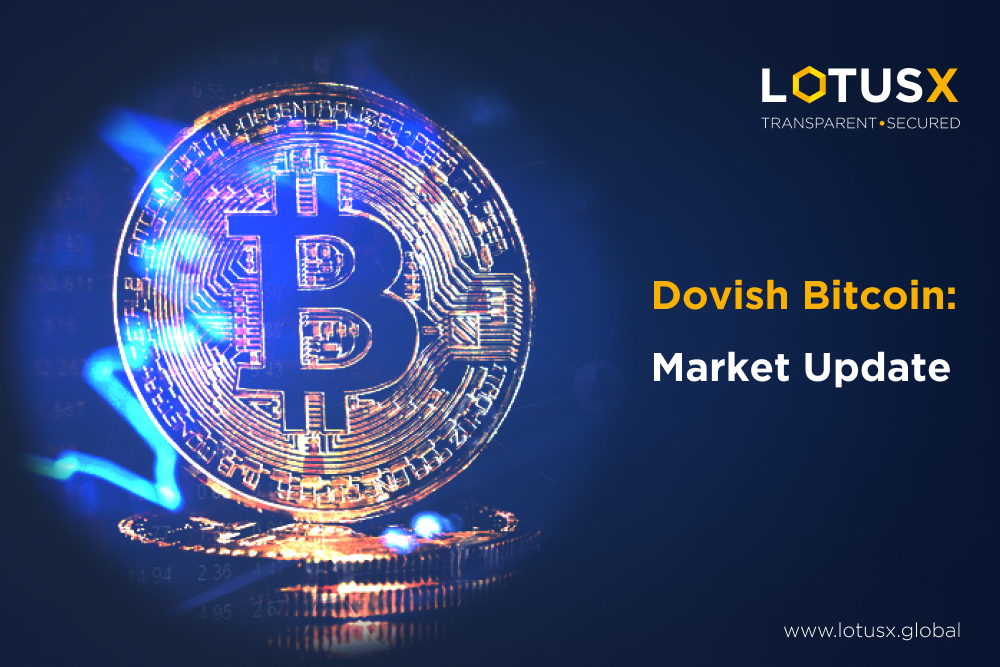 Bitcoin. Market Update. India. LotusX.