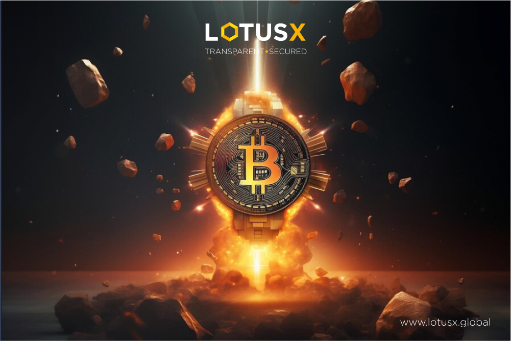 Bitcoin. India. LotusX.
